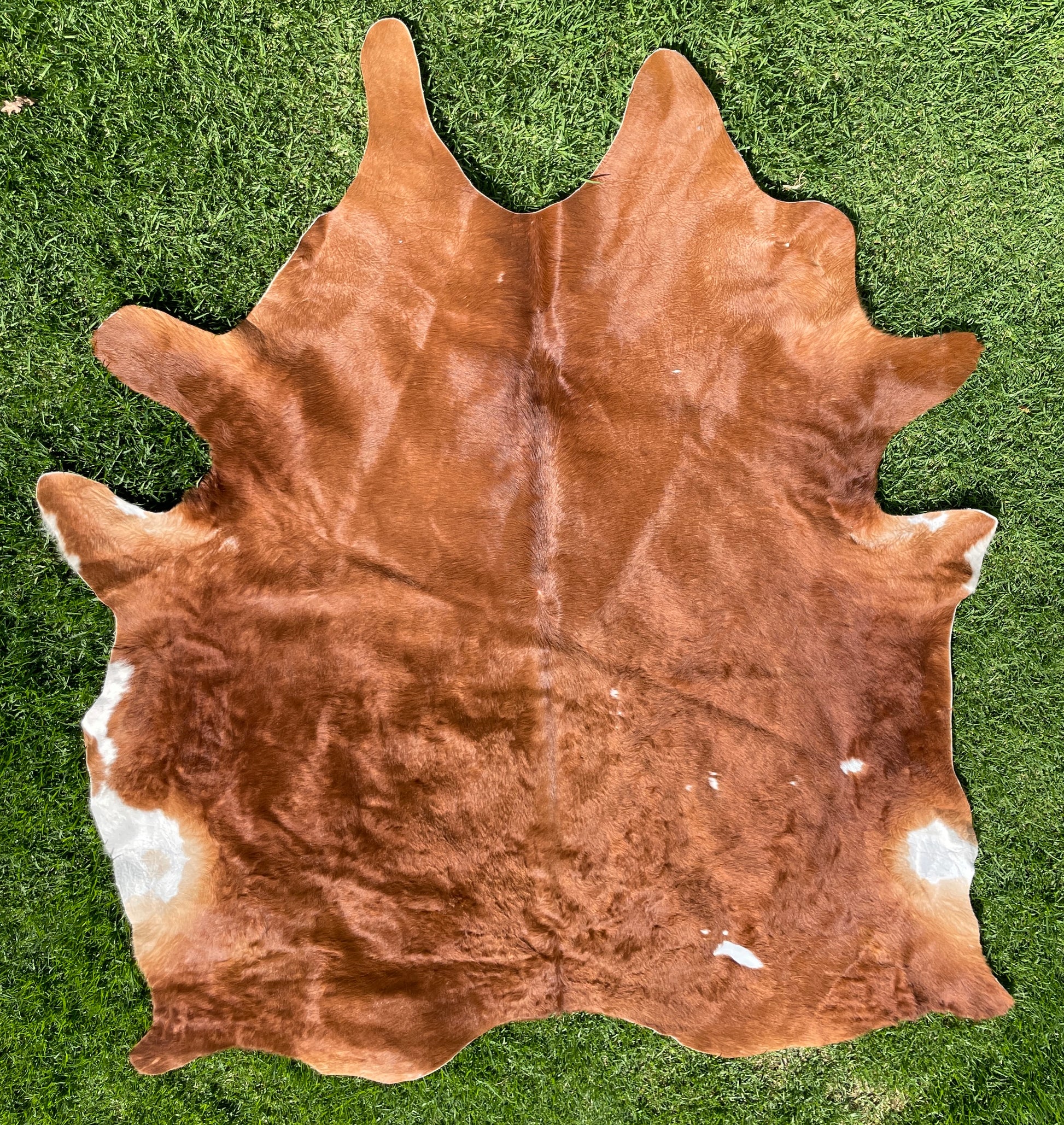 Cow Hide Floor Rug-Western Culture Leather